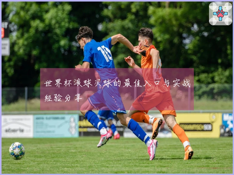 世界杯滚球买球的最佳入口与实战经验分享