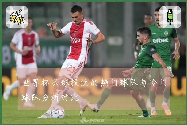 世界杯买球投注的热门球队与冷门球队分析对比