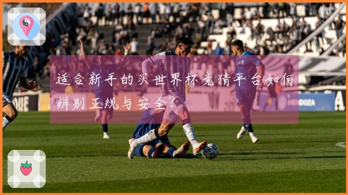 适合新手的买世界杯竞猜平台如何辨别正规与安全？
