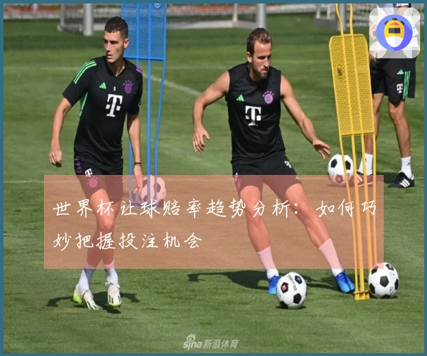 世界杯让球赔率趋势分析：如何巧妙把握投注机会