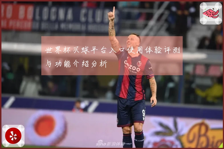世界杯买球平台入口使用体验评测与功能介绍分析