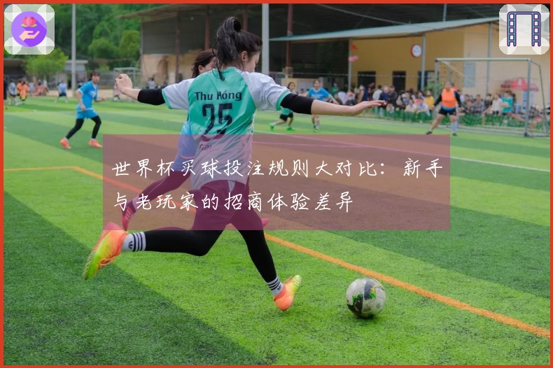 世界杯买球投注规则大对比：新手与老玩家的招商体验差异
