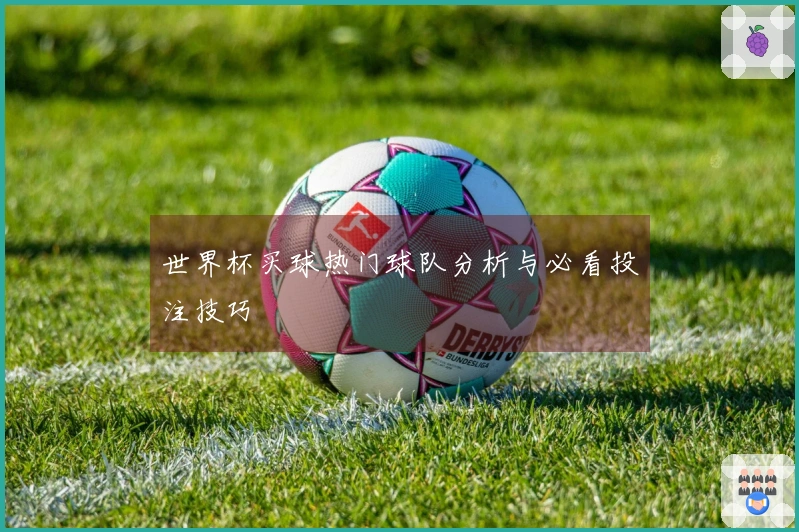 世界杯买球热门球队分析与必看投注技巧