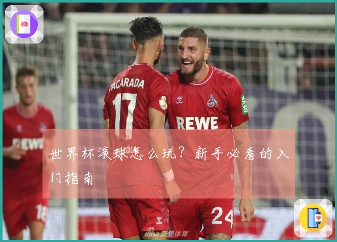 世界杯滚球怎么玩？新手必看的入门指南