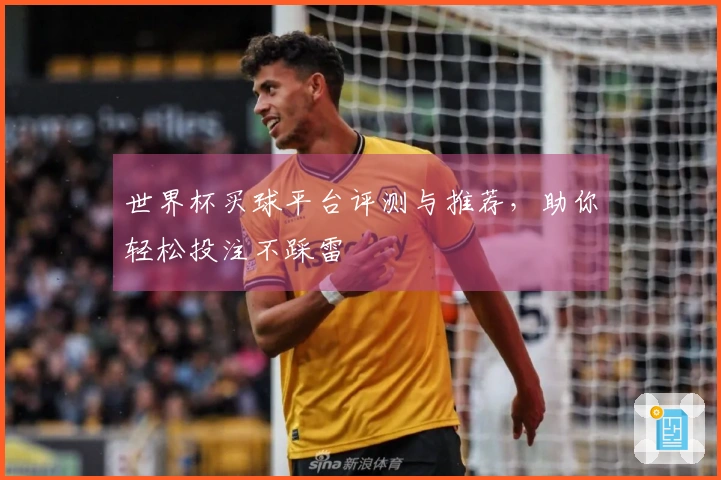 世界杯买球平台评测与推荐，助你轻松投注不踩雷