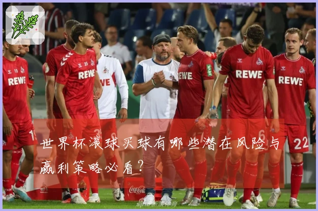 世界杯滚球买球有哪些潜在风险与赢利策略必看？
