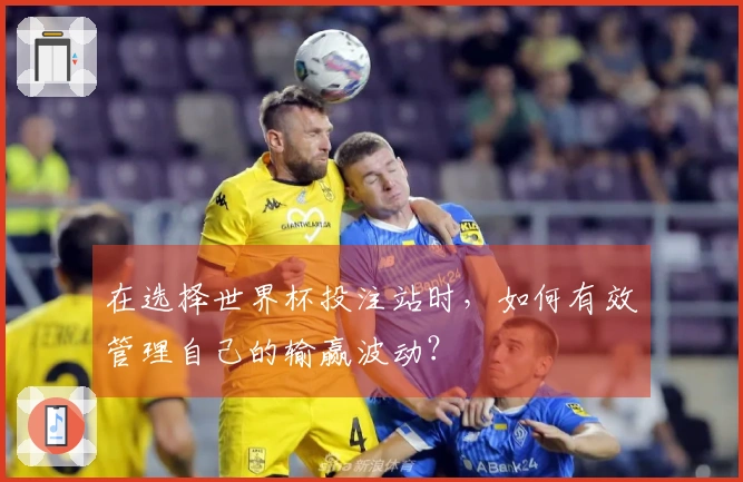在选择世界杯投注站时，如何有效管理自己的输赢波动？