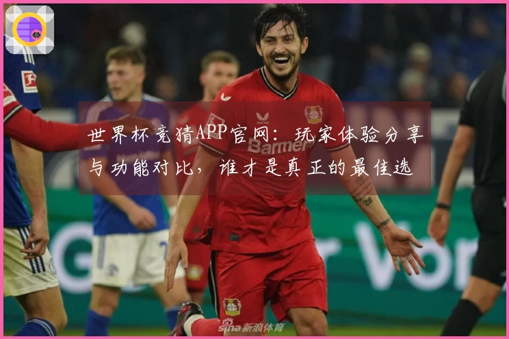 世界杯竞猜APP官网：玩家体验分享与功能对比，谁才是真正的最佳选择？