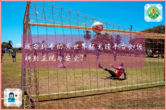 适合新手的买世界杯竞猜平台如何辨别正规与安全？