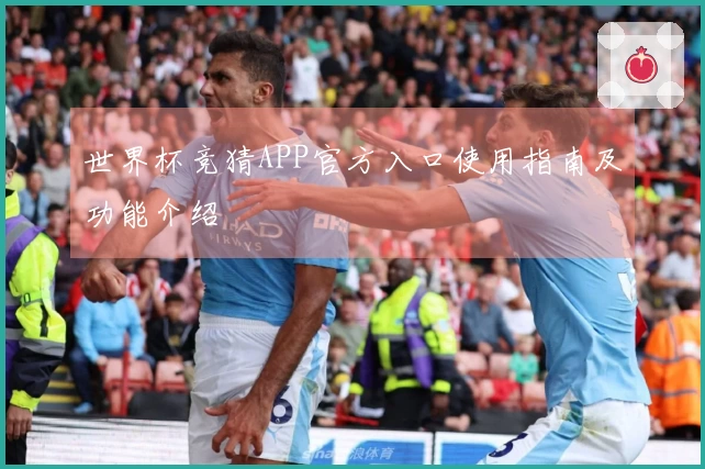 世界杯竞猜APP官方入口使用指南及功能介绍