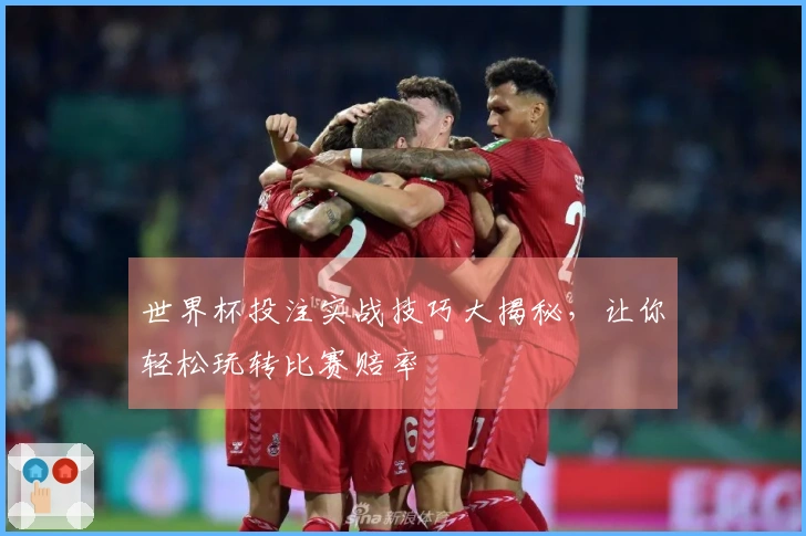 世界杯投注实战技巧大揭秘，让你轻松玩转比赛赔率