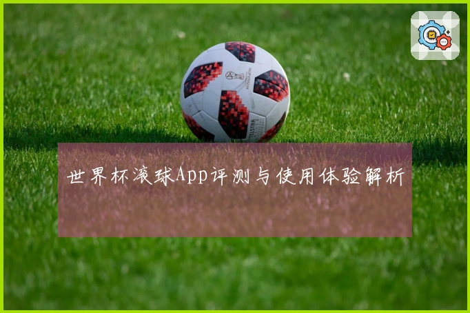 世界杯滚球App评测与使用体验解析