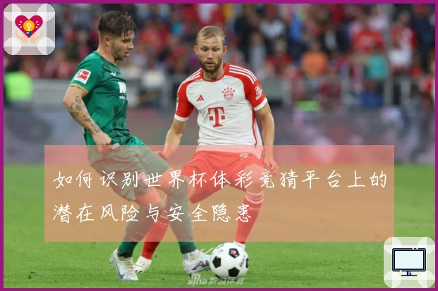 如何识别世界杯体彩竞猜平台上的潜在风险与安全隐患