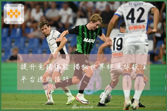 提升竞猜体验 揭秘世界杯滚球投注平台选购技巧