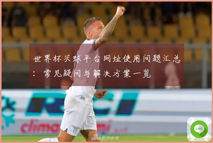世界杯买球平台网址使用问题汇总:常见疑问与解决方案一览