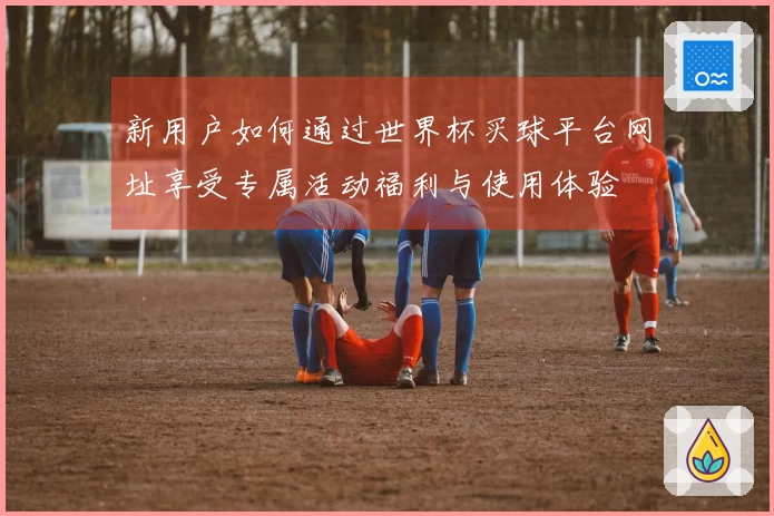 新用户如何通过世界杯买球平台网址享受专属活动福利与使用体验
