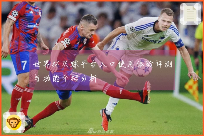 世界杯买球平台入口使用体验评测与功能介绍分析
