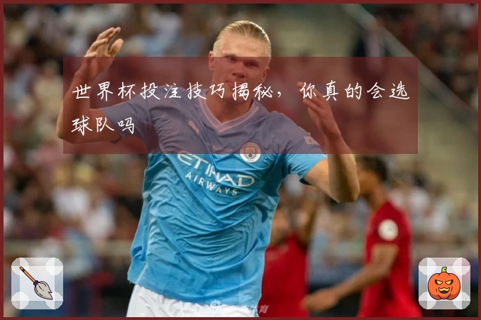 世界杯投注技巧揭秘，你真的会选球队吗