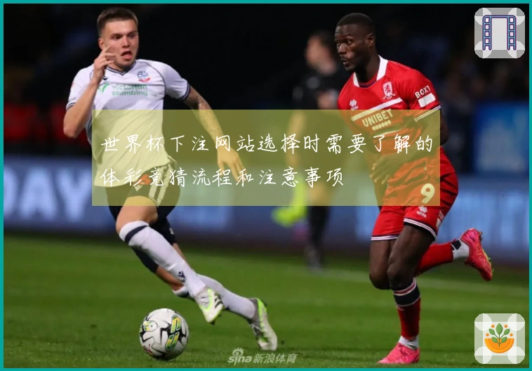 世界杯下注网站选择时需要了解的体彩竞猜流程和注意事项