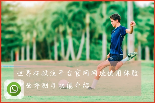 世界杯投注平台官网网址使用体验全面评测与功能介绍