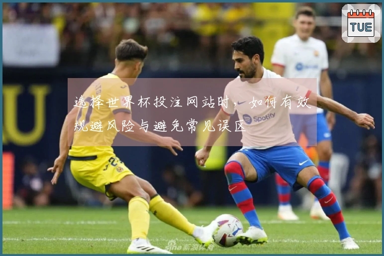选择世界杯投注网站时，如何有效规避风险与避免常见误区