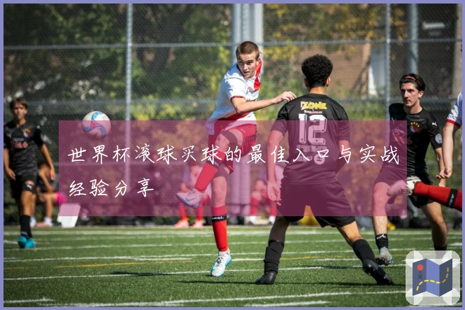 世界杯滚球买球的最佳入口与实战经验分享