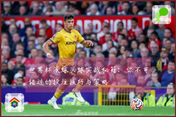 世界杯滚球买球实战秘籍：你不可错过的投注技巧与策略