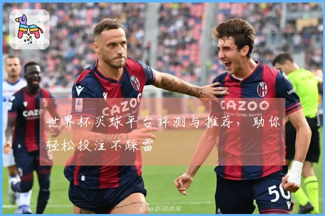世界杯买球平台评测与推荐，助你轻松投注不踩雷