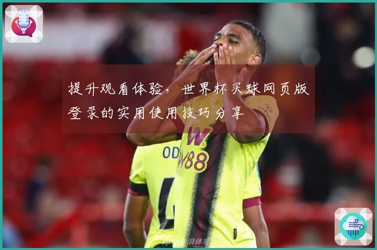 提升观看体验，世界杯买球网页版登录的实用使用技巧分享