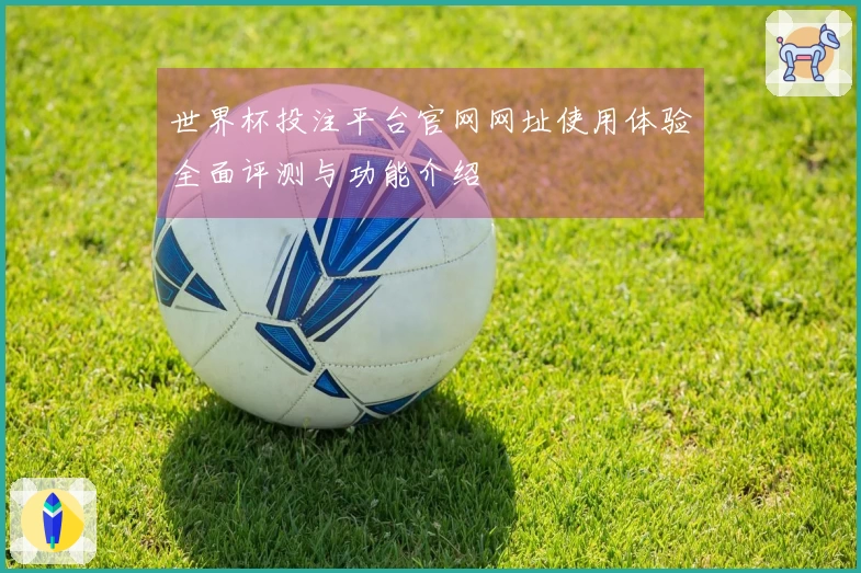世界杯投注平台官网网址使用体验全面评测与功能介绍