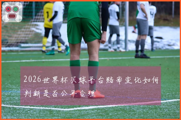 2026世界杯买球平台赔率变化如何判断是否公平合理