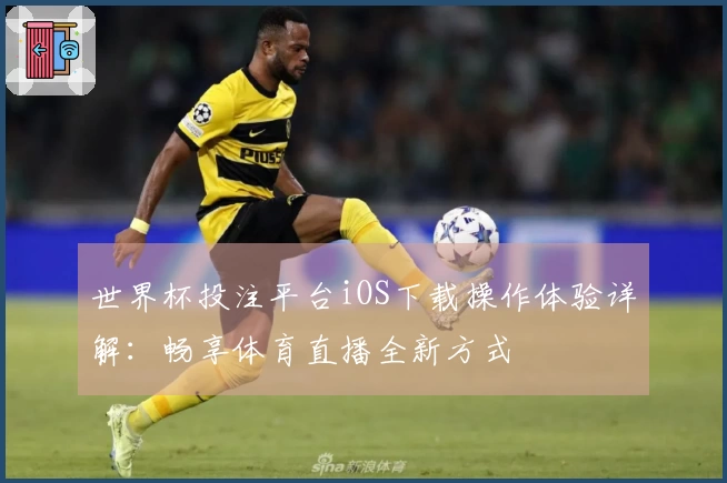 世界杯投注平台iOS下载操作体验详解：畅享体育直播全新方式