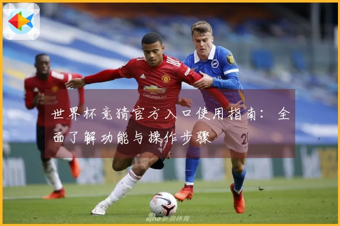 世界杯竞猜官方入口使用指南：全面了解功能与操作步骤