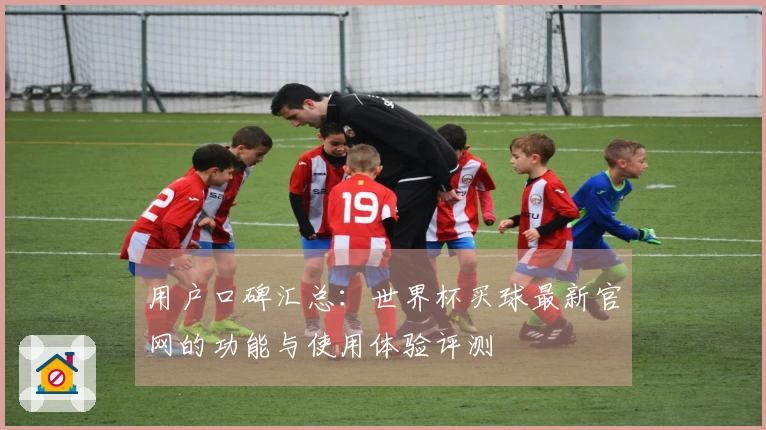 用户口碑汇总：世界杯买球最新官网的功能与使用体验评测